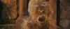 spot04_odf_potterish__016.jpg
