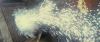 spot04_odf_potterish__050.jpg