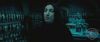 spot04_odf_potterish__068.jpg