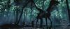 spot04_odf_potterish__086.jpg