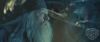 spot04_odf_potterish__0_7.jpg