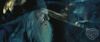 spot04_odf_potterish__0_8.jpg