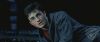 spot04_odf_potterish__1_2.jpg