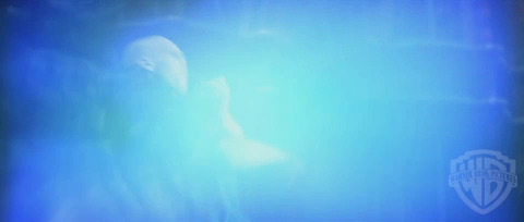 spot05_odf_potterish__045.jpg