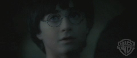 spot05_odf_potterish__074.jpg