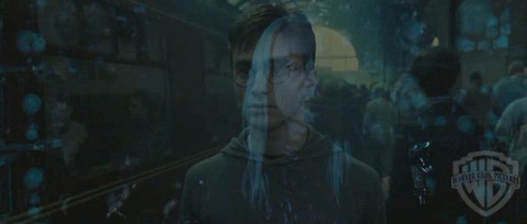 spot05_odf_potterish__0_4.jpg