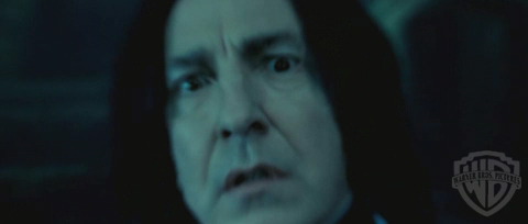 spot05_odf_potterish__116.jpg