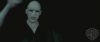 spot05_odf_potterish__008.jpg