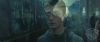 spot05_odf_potterish__040.jpg
