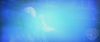 spot05_odf_potterish__045.jpg