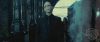 spot05_odf_potterish__04_.jpg
