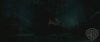 spot05_odf_potterish__058.jpg