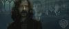 spot05_odf_potterish__068.jpg