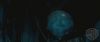 spot05_odf_potterish__088.jpg