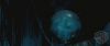 spot05_odf_potterish__0_0~0.jpg