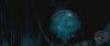 spot05_odf_potterish__0_1~0.jpg