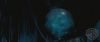 spot05_odf_potterish__0_2~0.jpg