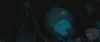 spot05_odf_potterish__0_4~0.jpg