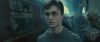 spot05_odf_potterish__0_8.jpg