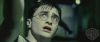spot05_odf_potterish__118.jpg