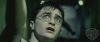 spot05_odf_potterish__11_~0.jpg