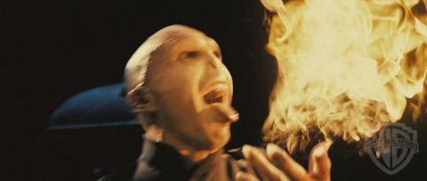 spot06_odf_potterish__012.jpg