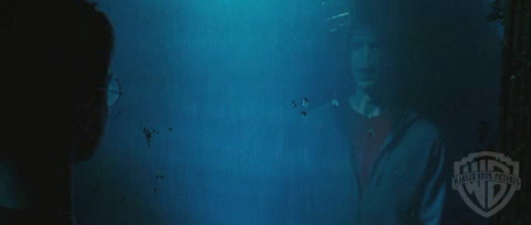 spot06_odf_potterish__04_.jpg spot06_odf_potterish__04_.jpg