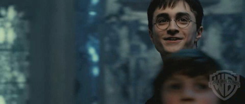 spot06_odf_potterish__07_~0.jpg