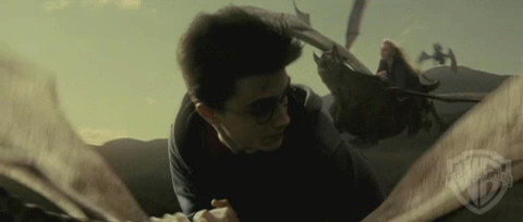 spot06_odf_potterish__080.jpg