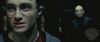 spot06_odf_potterish__005.jpg