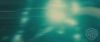 spot06_odf_potterish__008.jpg