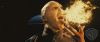 spot06_odf_potterish__011.jpg