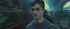 spot06_odf_potterish__044.jpg