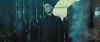 spot06_odf_potterish__045.jpg