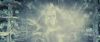 spot06_odf_potterish__05_.jpg
