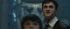 spot06_odf_potterish__078.jpg