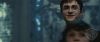 spot06_odf_potterish__07_~0.jpg