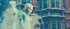spot06_odf_potterish__086.jpg