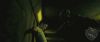 spot06_odf_potterish__0_4~0.jpg