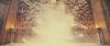 spot06_odf_potterish__114.jpg
