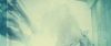 spot06_odf_potterish__11_.jpg