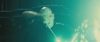 spot06_odf_potterish__120.jpg