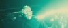 spot06_odf_potterish__121.jpg