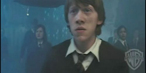potterish_trellersecomeciais_comecial01__15.jpg
