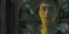 potterish_trellersecomeciais_comecial01__0_.jpg