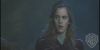 potterish_trellersecomeciais_comecial01__10.jpg