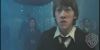 potterish_trellersecomeciais_comecial01__14.jpg
