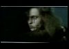 potterish_trellers_comerciais_bellatrix__272.jpg