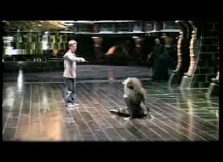 potterish_trellers_comerciais_harry__170.jpg potterish_trellers_comerciais_harry__170.jpg