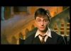 potterish_trellers_comerciais_harry__260.jpg